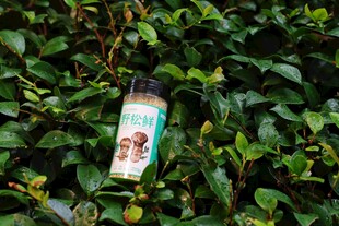 草丛中的废弃饮料瓶