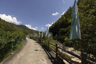山间小径