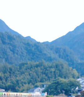 青山环抱的宁静村落