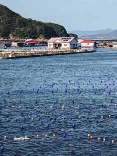 海边渔村的海上养殖景观