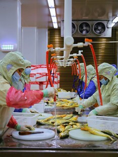 工人在工厂内忙碌加工食品