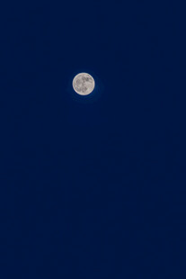 夜空中的皎洁明月