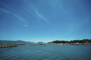 宁静海滨风光