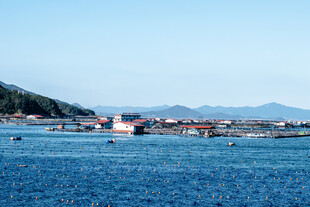 海上渔村风光