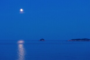 海上月夜美景