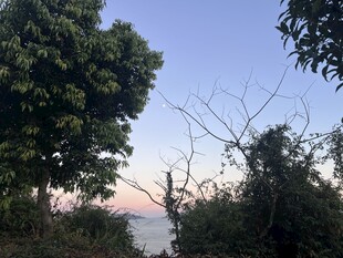黄昏下的林间与远处海景