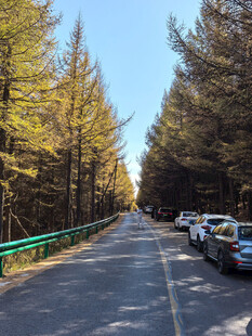 张北天路