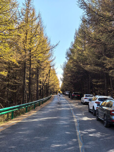 张北天路