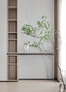简约室内绿植装饰场景