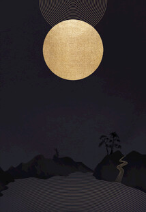 夜空下的明月与远影