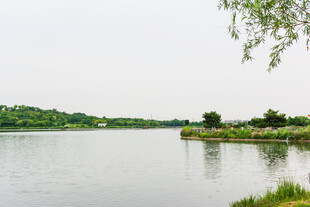 宁静湖畔风光