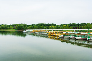 湖畔多彩船只静泊美景