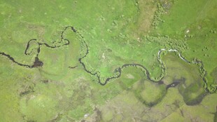 蜿流 绿色地貌