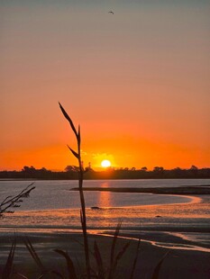 夕阳下的海滨美景