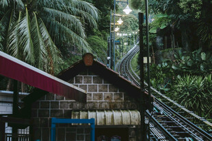 丛林边的铁路小屋