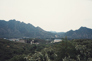 山间绿意景观
