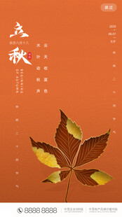 立秋