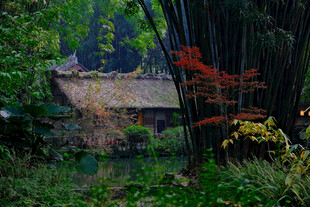 山林中的古朴小屋