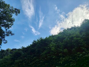 山林蓝天美景