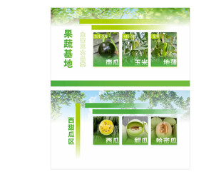绿色蔬菜农产品展示页海报水果