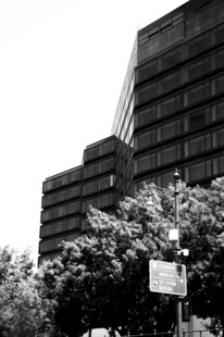 城市中高楼与绿树景象
