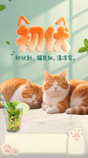 慵懒猫咪初伏节气商用手机海报