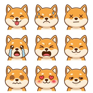 柴犬表情合集