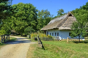 乡村小屋旁的宁静小路