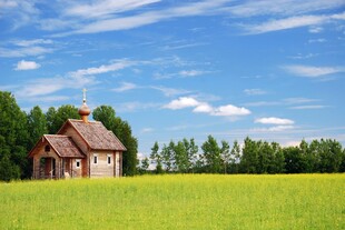 田园小屋绿意盎然的风景