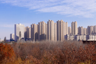 秋日城市高楼景观