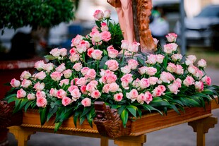 粉色郁金香花卉展示台