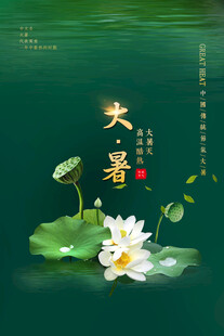 大暑节气           