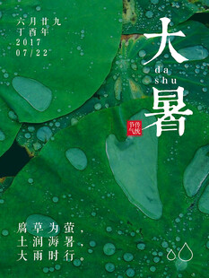 大暑节气           