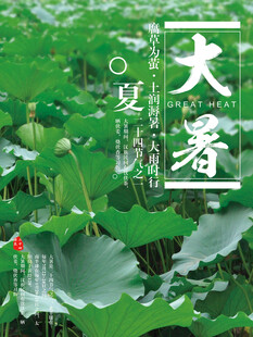 大暑节气           