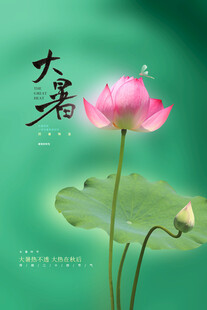 大暑节气           