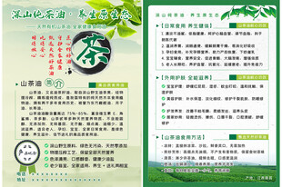 绿色环保主题宣传页设计
