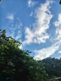 蓝天绿树间的白云美景