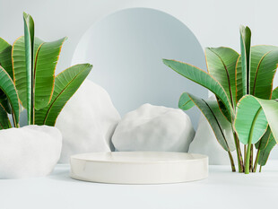 简约绿植几何场景展示台