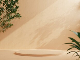 简约植物装饰的展示空间