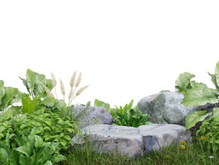 石景绿植组合景观