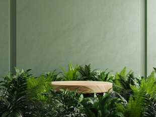 绿植环绕的木质平台