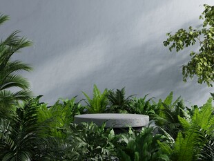 雨林中的现代简约景观台