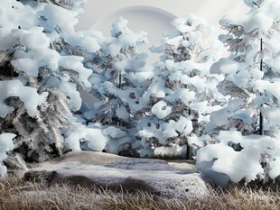 冬日雪景中的银白树林