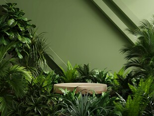 绿植环绕的静谧角落