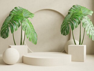 简约绿植展示台场景