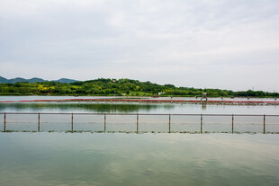 宁静湖畔风光