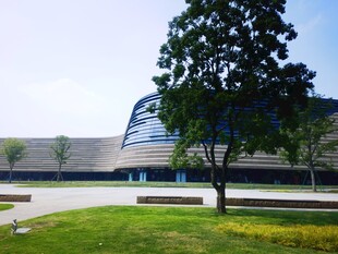 现代建筑旁的绿树景观