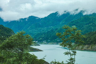 青山绿水间的宁静湖泊