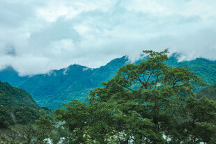 青山绿树间的云雾美景