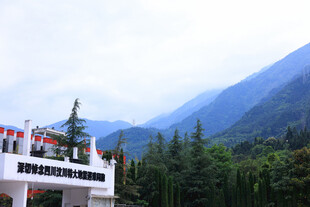 山间建筑旁的葱郁山林
